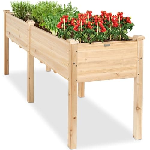 Best Galvanized Raised Garden Beds