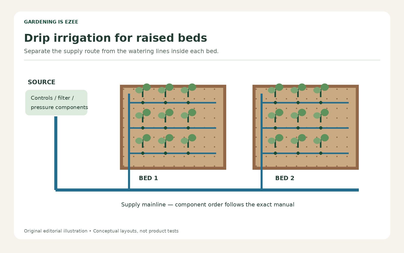 Original overhead illustration of a mainline supplying parallel drip laterals inside two raised beds.