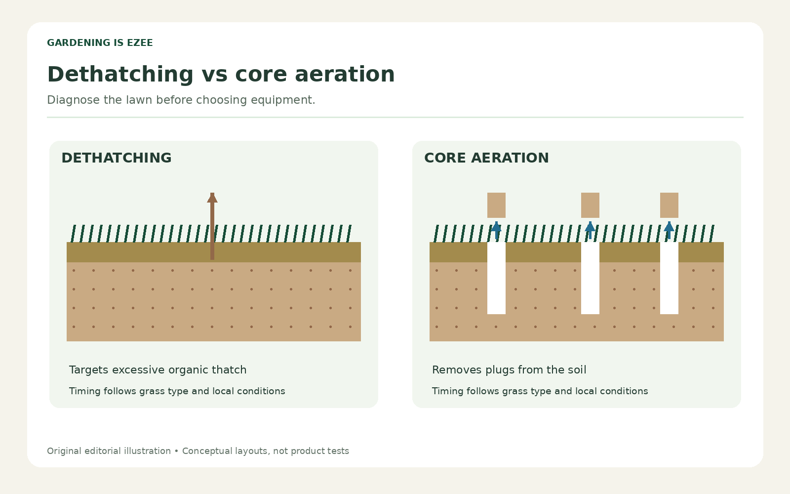 Original soil cross-section comparing thatch removal above soil with hollow-tine core aeration.
