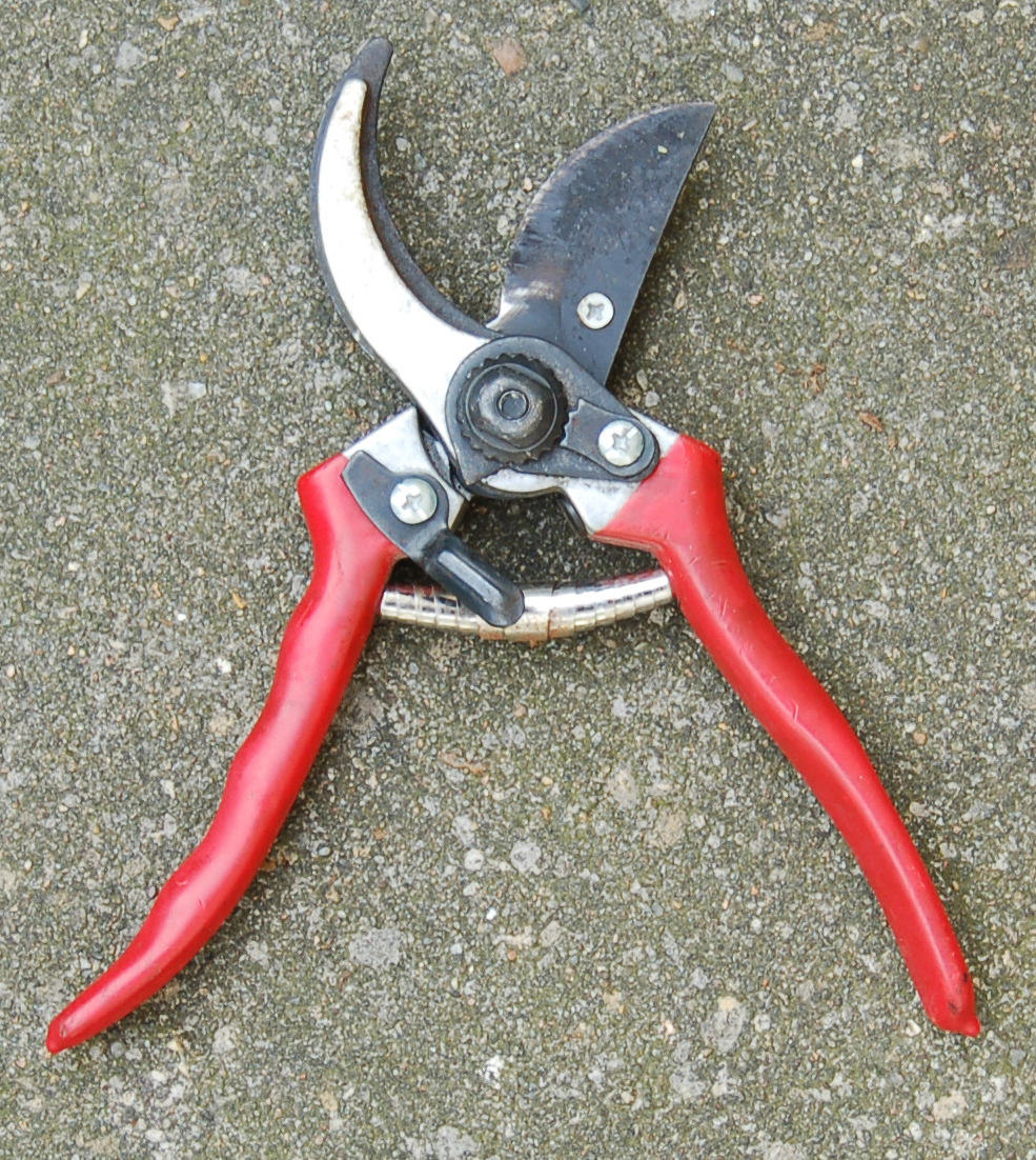 Open secator - Secateur ouvert