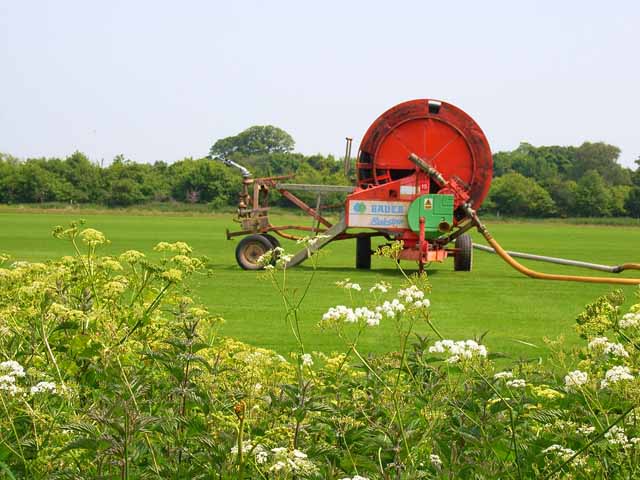 One enormous garden hose. Industrial size for irrigating the fields. Near Sudbourne.