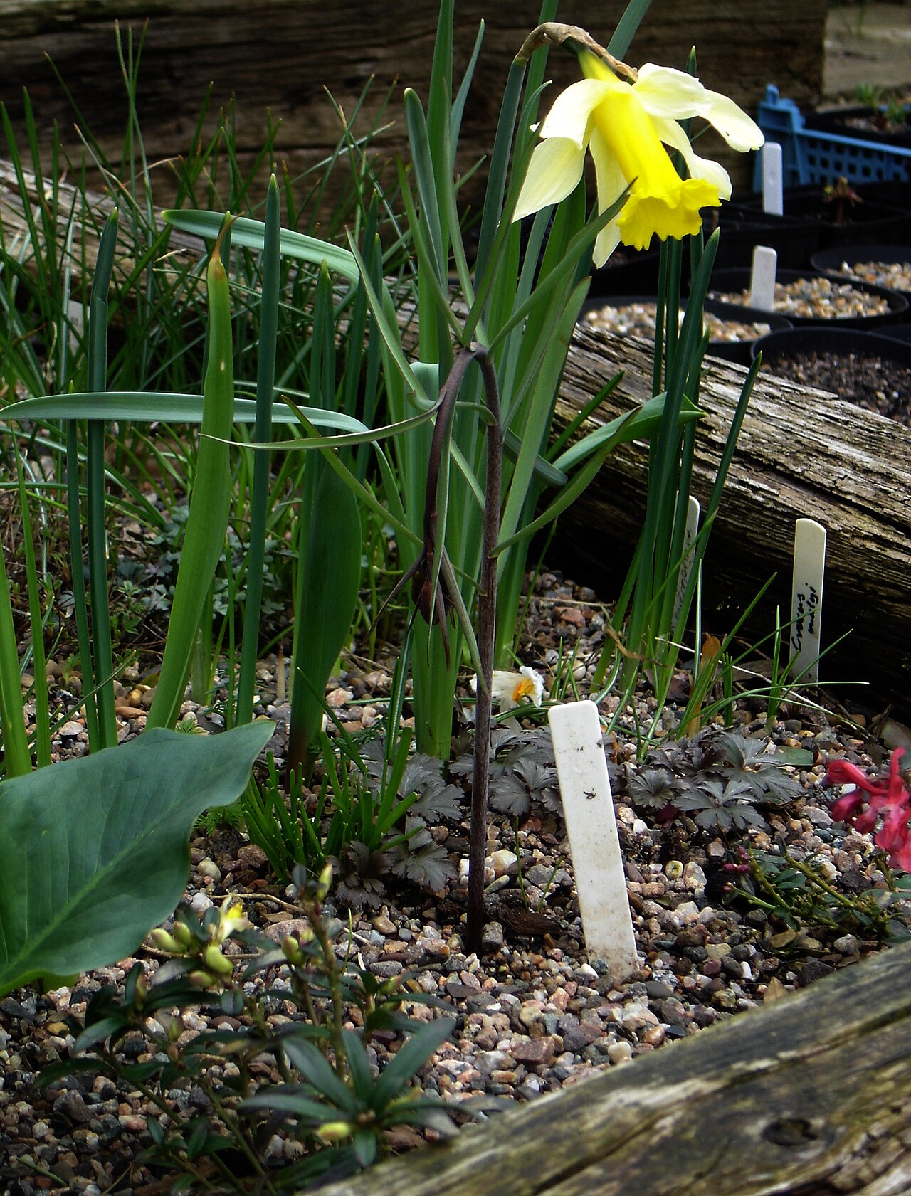 Sun, exposed sides, drainage, and soil mix all influence how quickly a raised bed dries.