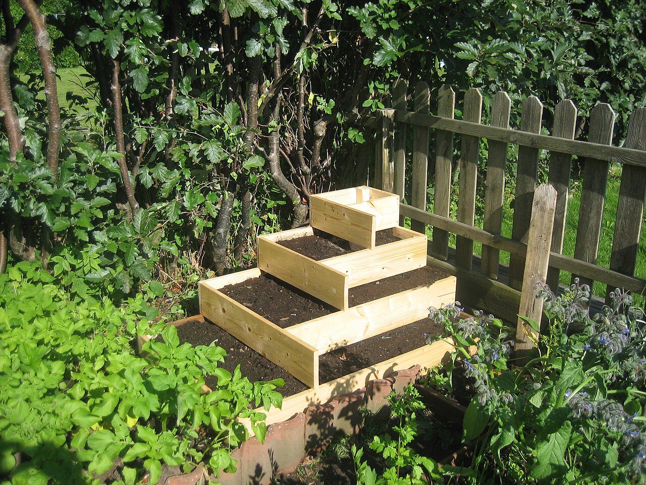 A raised vegetable bed showing the usable growing area and working height.