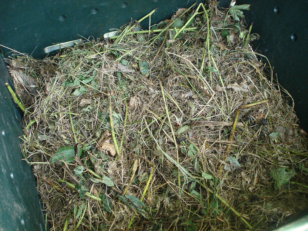 Materials in a compost bin .